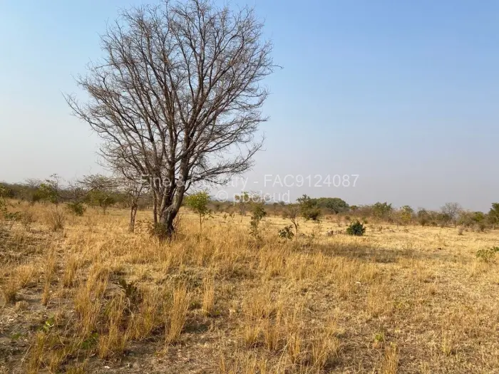 Farm/Plot to Rent in Zvimba, Zvimba