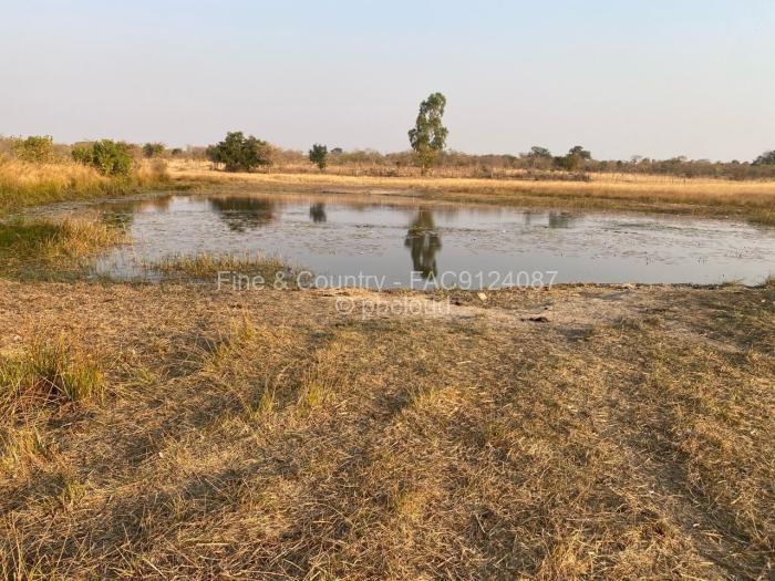 Farm/Plot to Rent in Zvimba, Zvimba