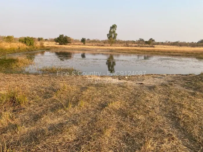 Farm/Plot to Rent in Zvimba, Zvimba