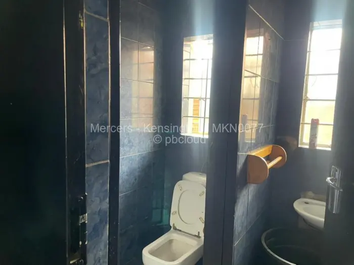 Other Commercial for Sale in Harare City Centre, Harare