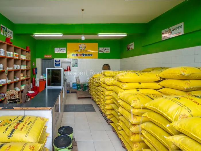 Other Commercial for Sale in Avenues, Harare