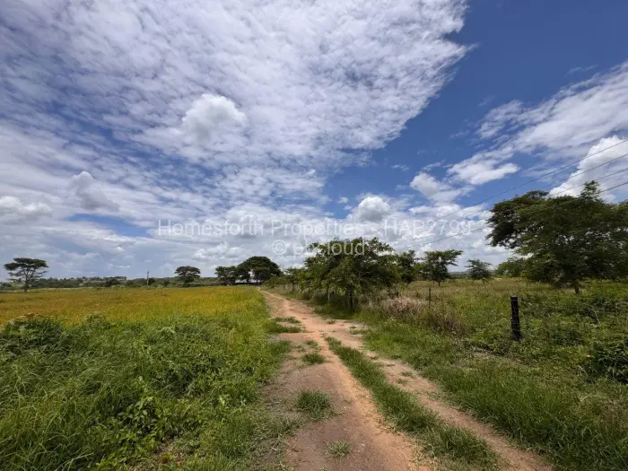 Farm/Plot for Sale in Norton, Norton