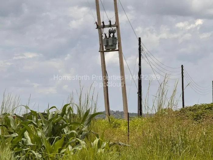 Farm/Plot for Sale in Norton, Norton