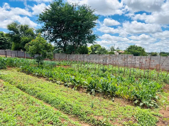 4 Bedroom House to Rent in Bulawayo City Centre, Bulawayo