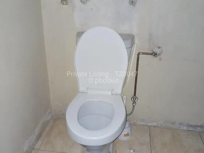 Flat/Apartment to Rent in Avenues