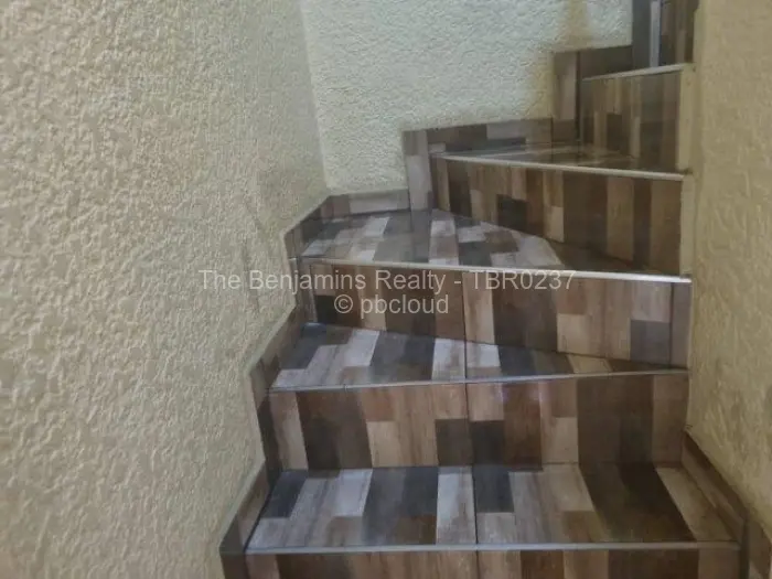 Flat/Apartment to Rent in Avondale