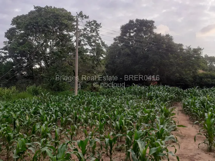 Residential Stand for Sale in Meyrick Park, Harare