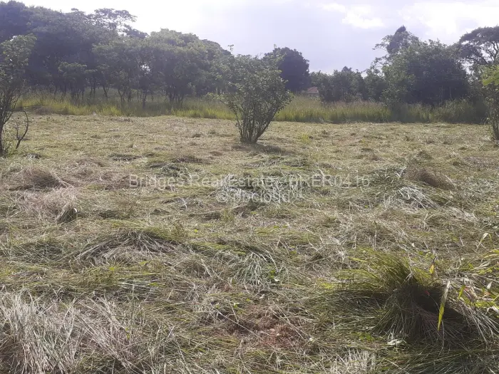 Residential Stand for Sale in Meyrick Park, Harare