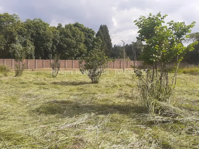 Residential Stand for Sale in Meyrick Park, Harare