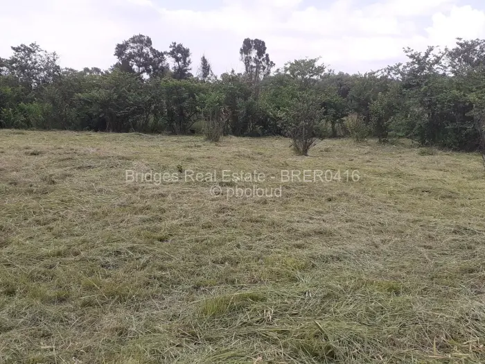 Residential Stand for Sale in Meyrick Park, Harare