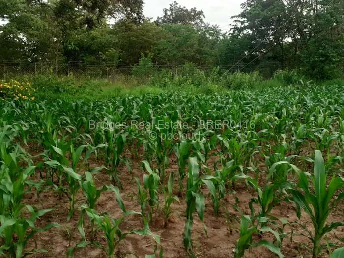 Residential Stand for Sale in Meyrick Park, Harare