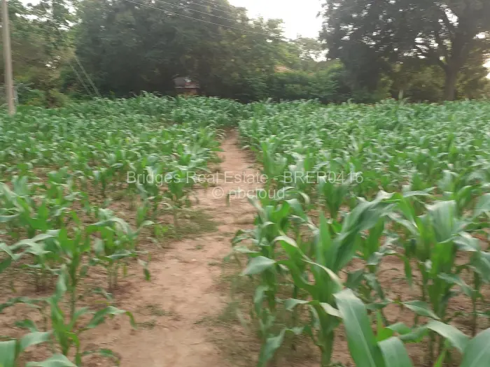 Residential Stand for Sale in Meyrick Park, Harare