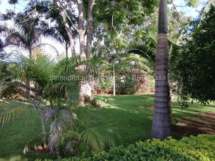 3 Bedroom House to Rent in Famona, Bulawayo