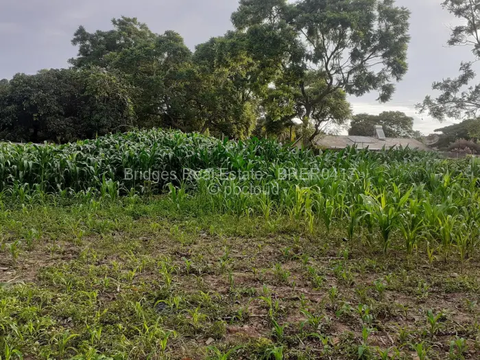 Residential Stand for Sale in Meyrick Park, Harare