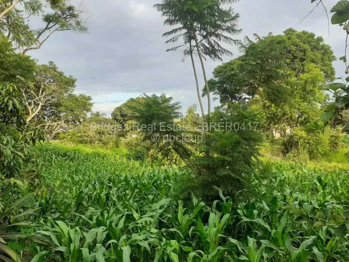 Residential Stand for Sale in Meyrick Park, Harare
