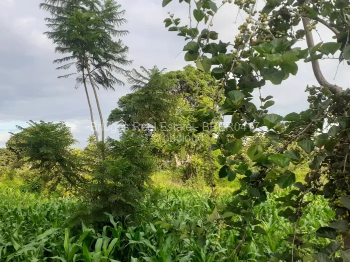 Residential Stand for Sale in Meyrick Park, Harare