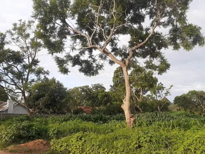 Residential Stand for Sale in Meyrick Park, Harare