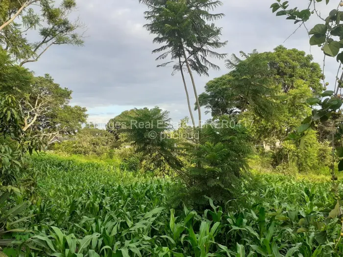 Residential Stand for Sale in Meyrick Park, Harare