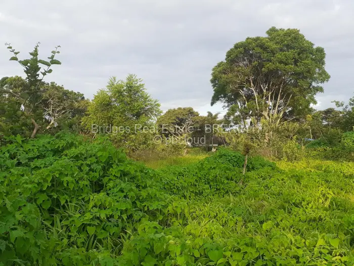 Residential Stand for Sale in Meyrick Park, Harare
