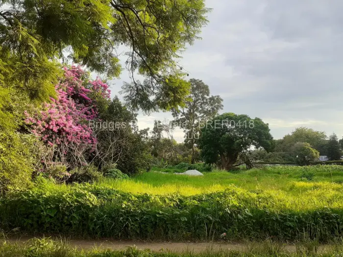 Residential Stand for Sale in Haig Park, Harare