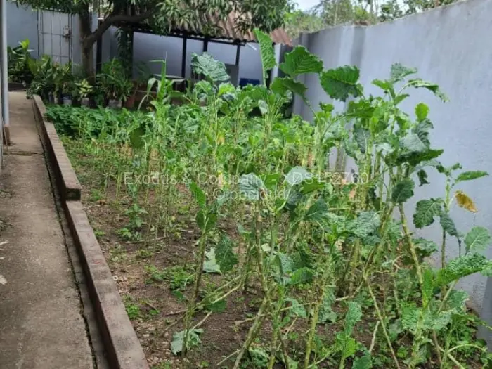 5 Bedroom House for Sale in Chikanga, Mutare