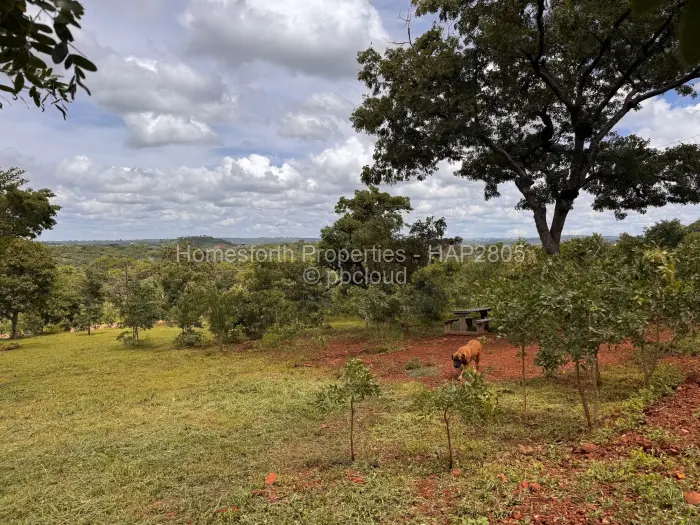 Residential Stand for Sale in Shawasha Hills, Harare