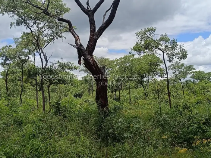 Farm/Plot for Sale in Chegutu, Chegutu