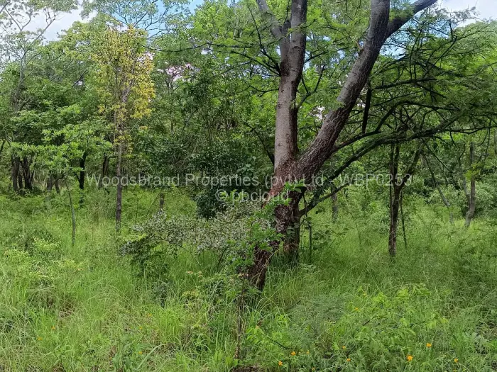 Farm/Plot for Sale in Chegutu, Chegutu