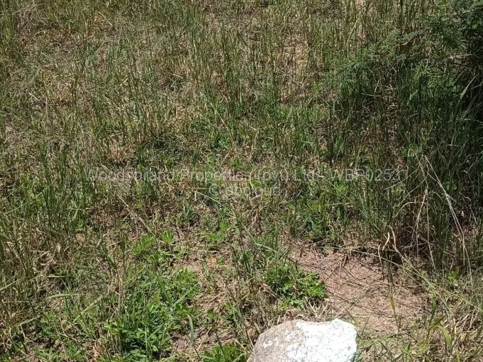 Farm/Plot for Sale in Chegutu, Chegutu