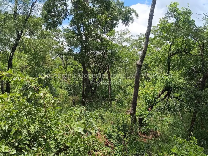 Farm/Plot for Sale in Chegutu, Chegutu