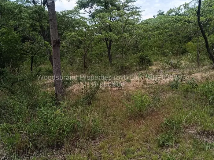Farm/Plot for Sale in Chegutu, Chegutu