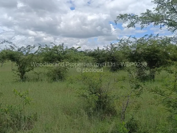 Farm/Plot for Sale in Chegutu, Chegutu