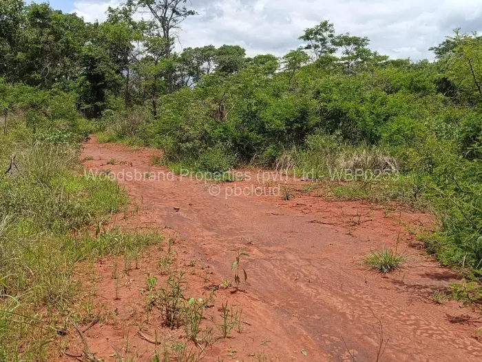 Farm/Plot for Sale in Chegutu, Chegutu