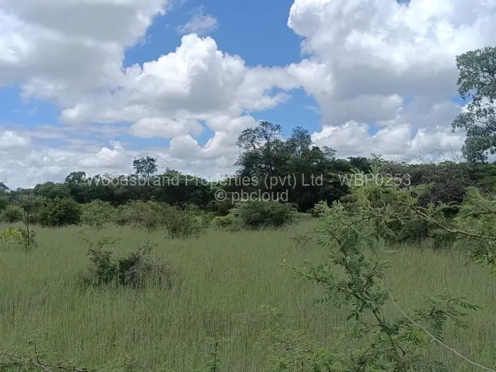 Farm/Plot for Sale in Chegutu, Chegutu