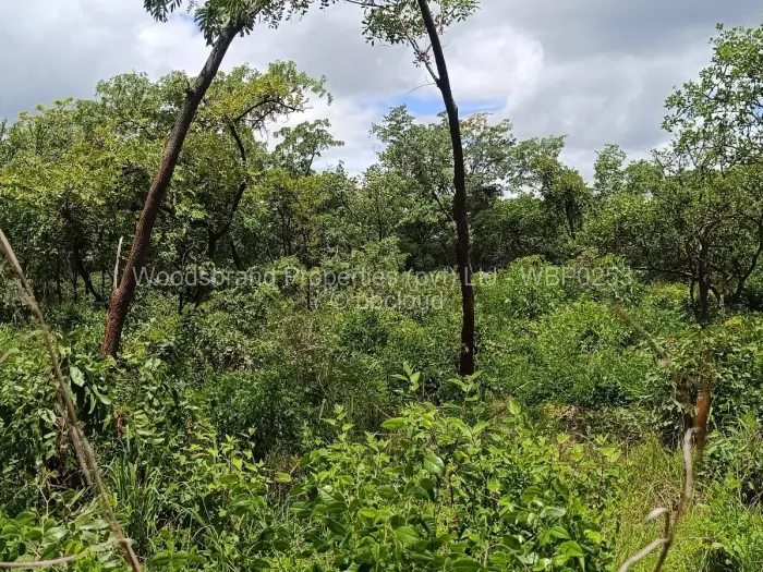 Farm/Plot for Sale in Chegutu, Chegutu