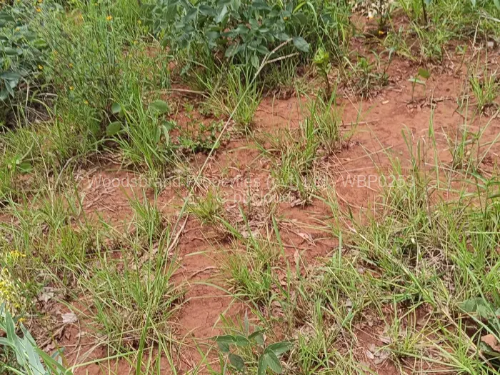 Farm/Plot for Sale in Chegutu, Chegutu