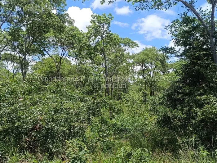 Farm/Plot for Sale in Chegutu, Chegutu