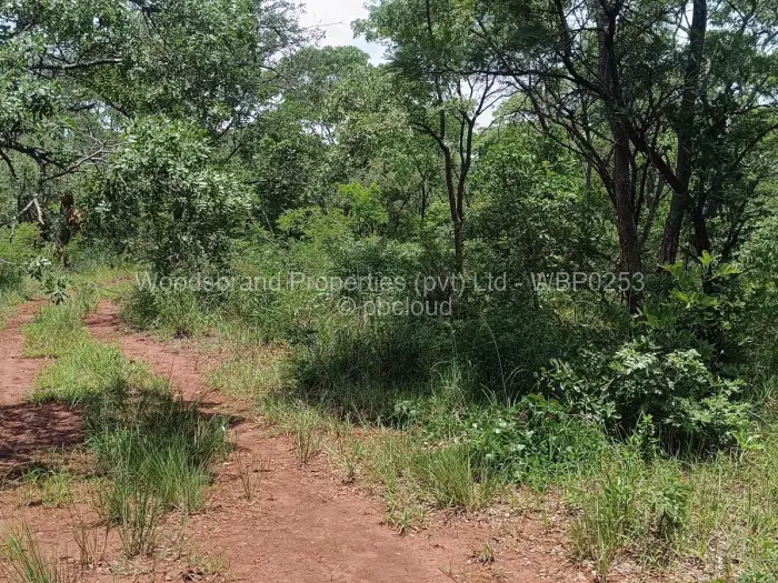 Farm/Plot for Sale in Chegutu, Chegutu