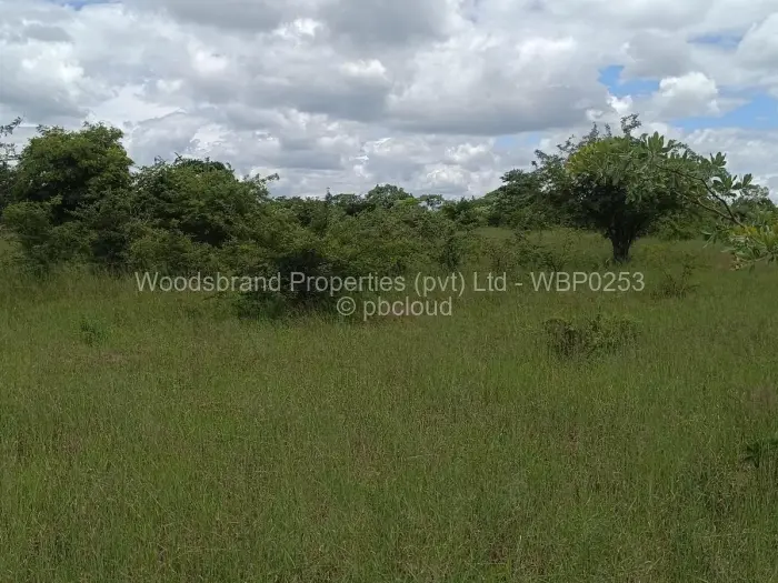 Farm/Plot for Sale in Chegutu, Chegutu