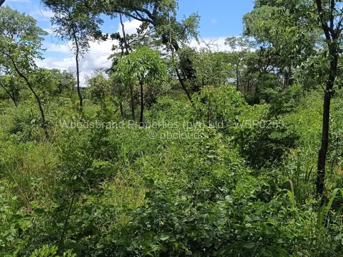 Farm/Plot for Sale in Chegutu, Chegutu