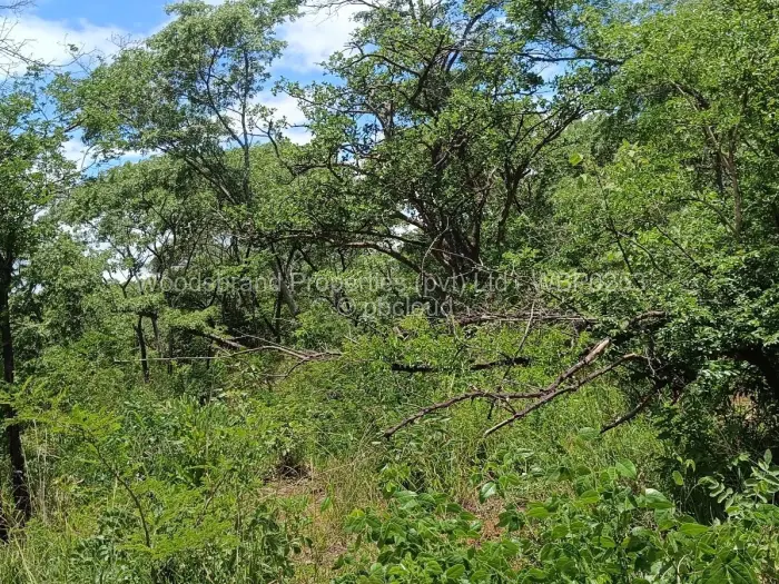 Farm/Plot for Sale in Chegutu, Chegutu