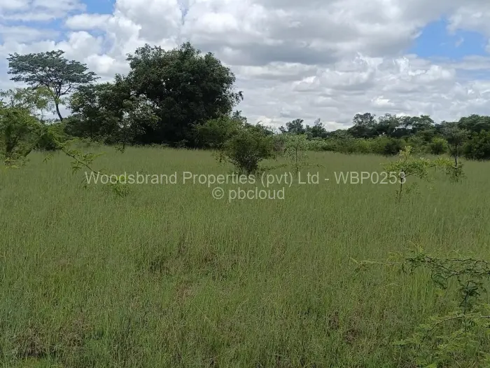 Farm/Plot for Sale in Chegutu, Chegutu