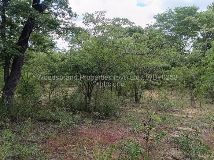 Farm/Plot for Sale in Chegutu, Chegutu