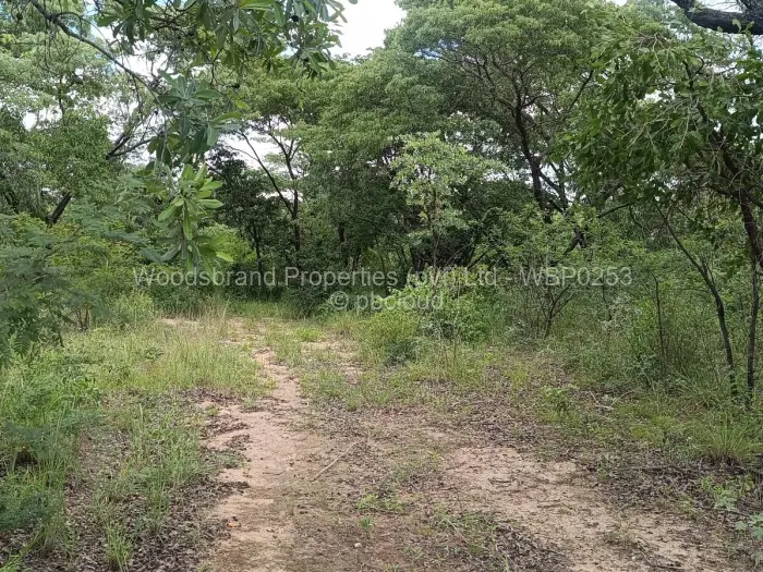 Farm/Plot for Sale in Chegutu, Chegutu
