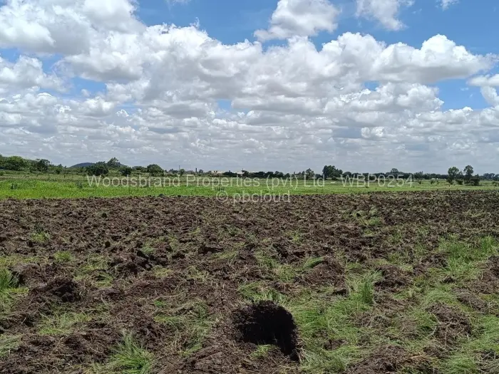 Farm/Plot for Sale in Westgate, Harare