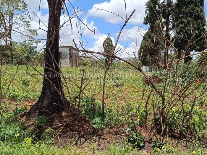 Farm/Plot for Sale in Westgate, Harare
