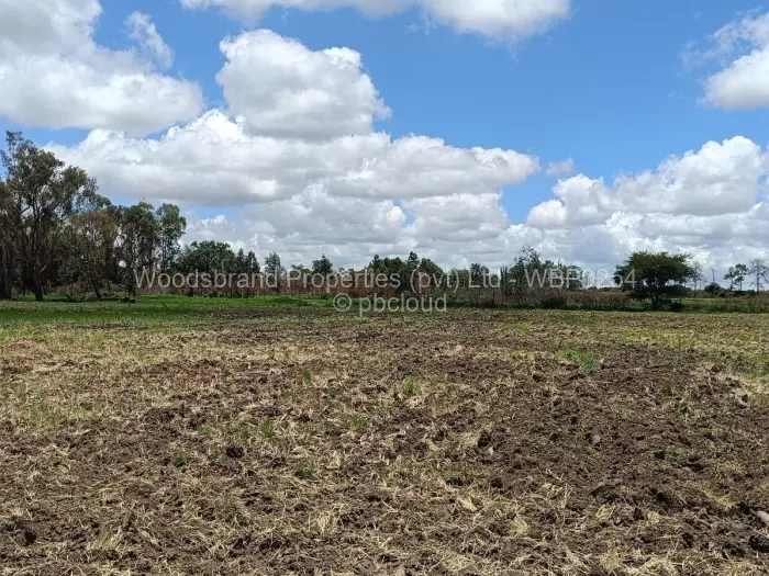 Farm/Plot for Sale in Westgate, Harare
