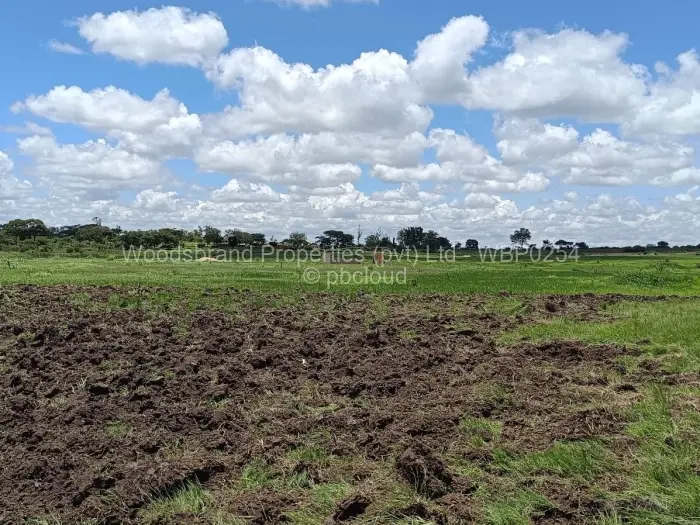 Farm/Plot for Sale in Westgate, Harare