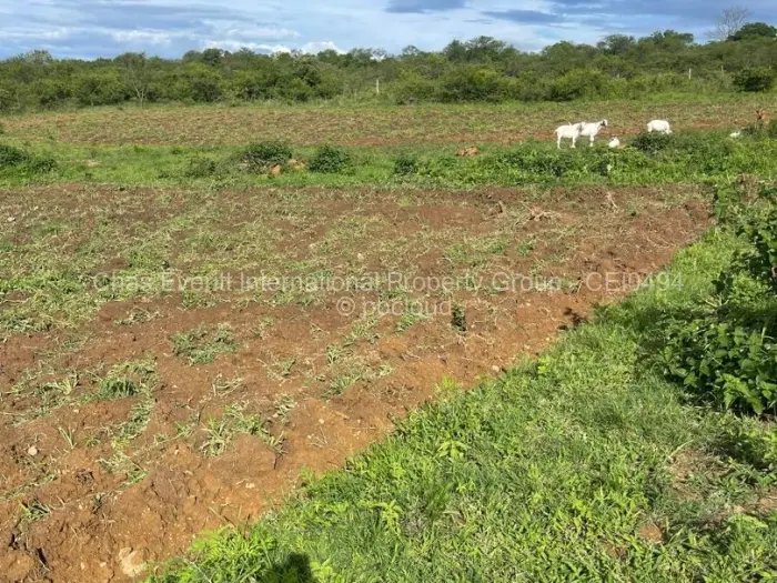 Farm/Plot for Sale in Gumtree, Bulawayo