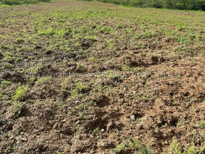 Farm/Plot for Sale in Gumtree, Bulawayo